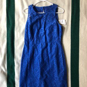 Jcrew Factory - Size 8 Lace Shift Dress - Blue